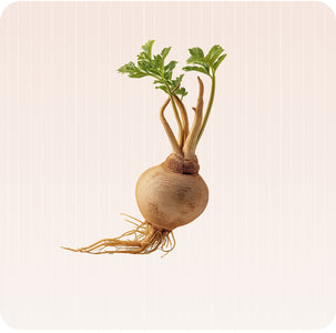 Maca