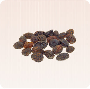 Saw Palmetto