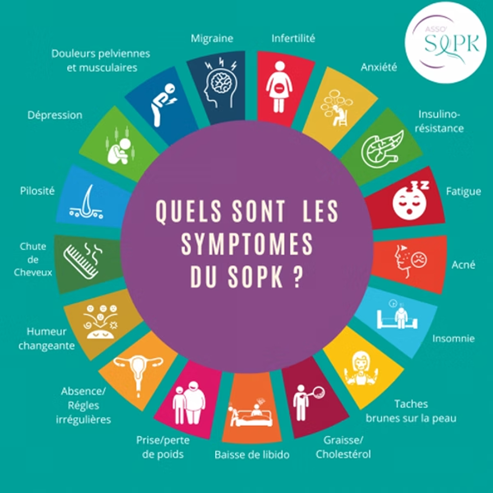 Comprendre les différents types de Syndrome des Ovaires Polykystiques (SOPK) : Détection et Prise en Charge