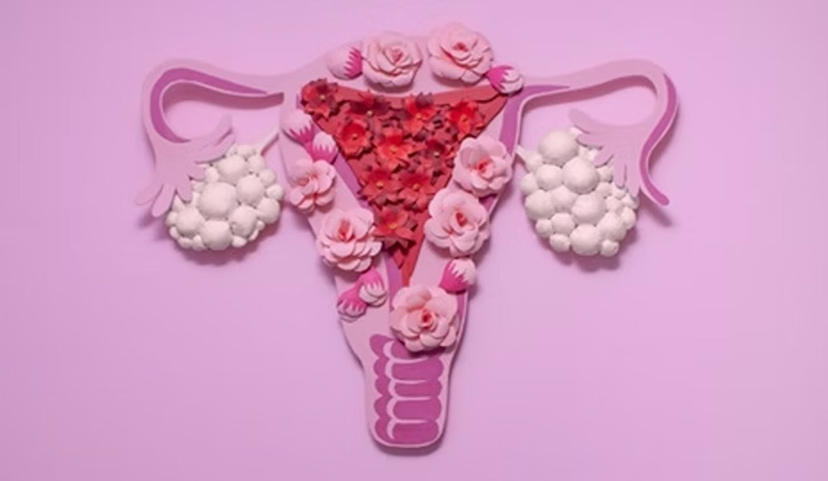 Cycles anovulatoires et SOPK : la température basale