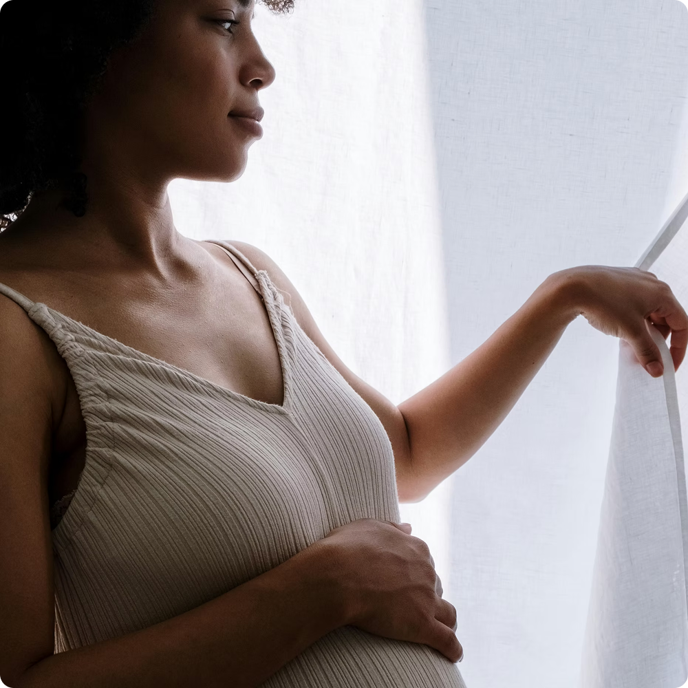 Le Shatavari la plante de la fertilité SOPK