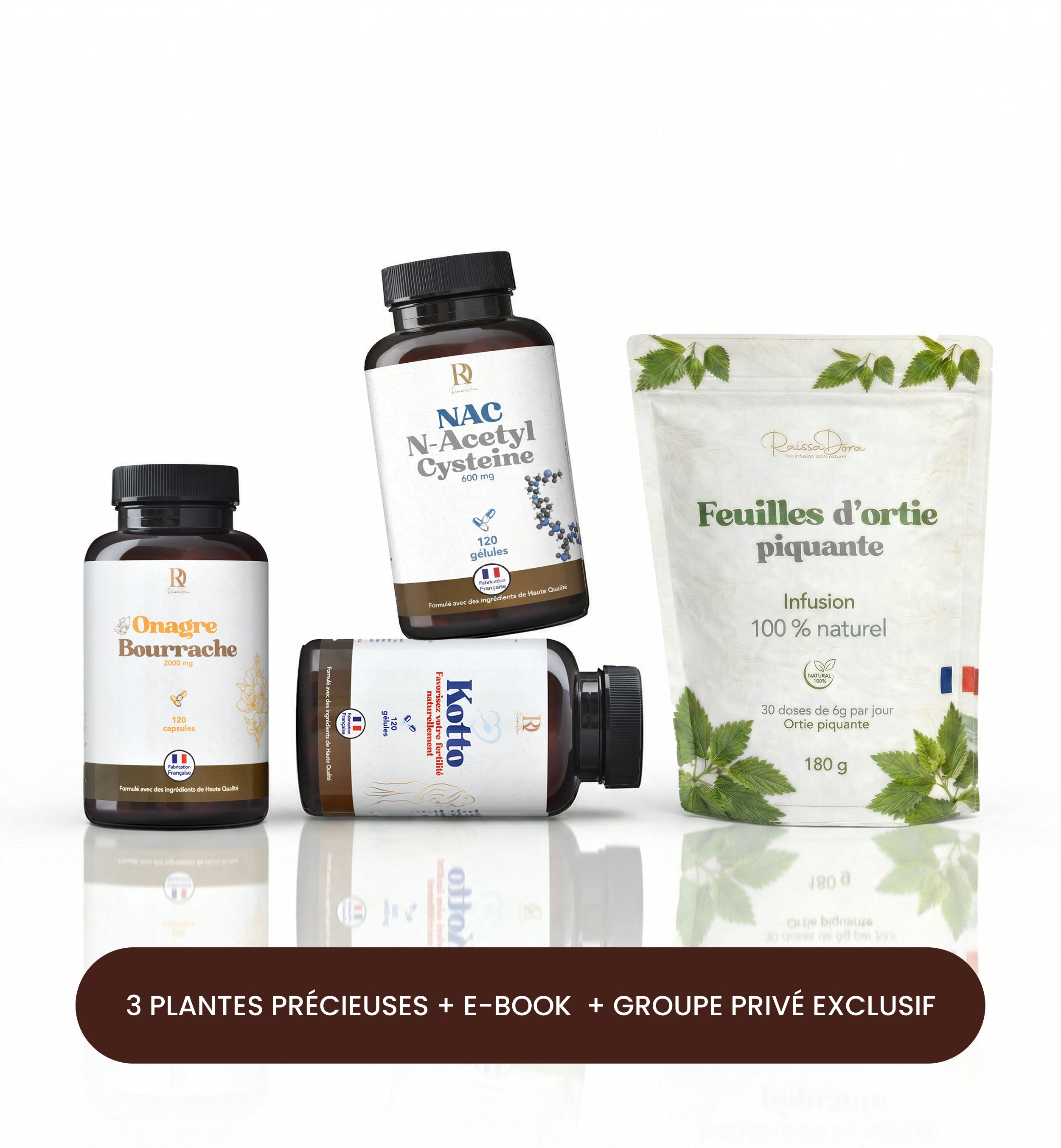 Trompes bouchées - avec 3 plantes, guide & groupe privé exclusif