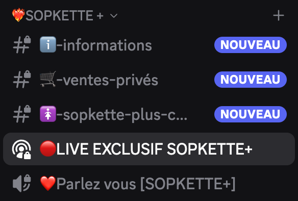 Rejoins Sopkette+ et accède à nos avantages VIP sur Discord