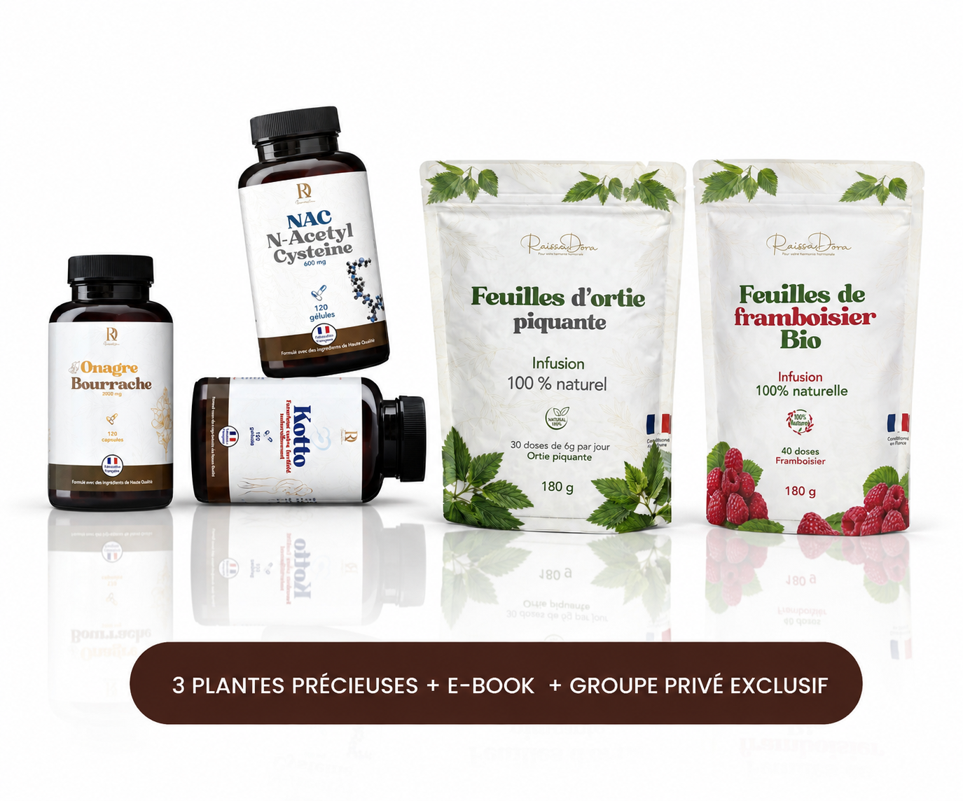 Trompes bouchées - avec 3 plantes, guide & groupe privé exclusif